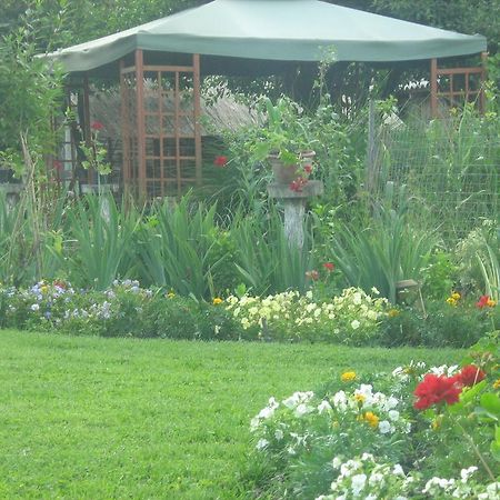 Farm Stay Lackovic Bilje Bagian luar foto