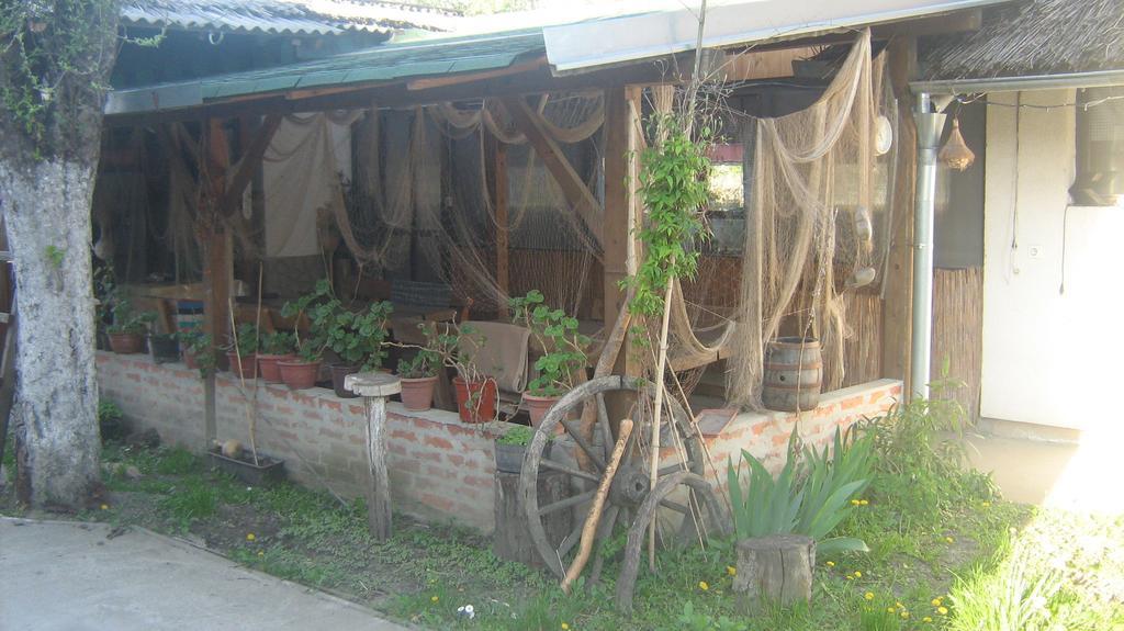 Farm Stay Lackovic Bilje Bagian luar foto
