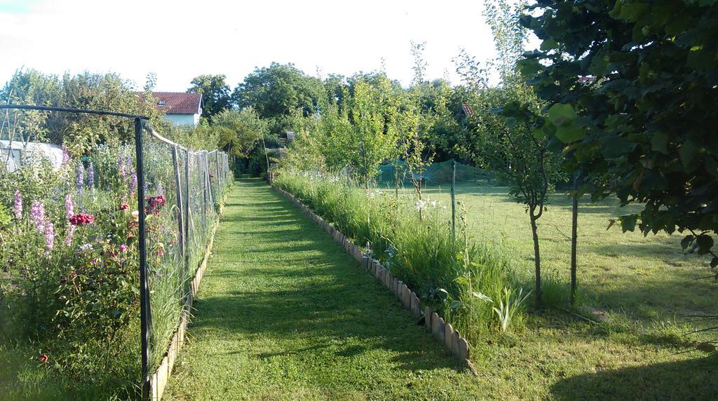 Farm Stay Lackovic Bilje Bagian luar foto