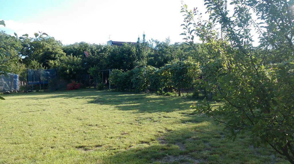 Farm Stay Lackovic Bilje Bagian luar foto