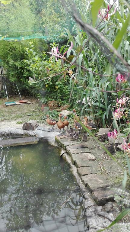 Farm Stay Lackovic Bilje Bagian luar foto
